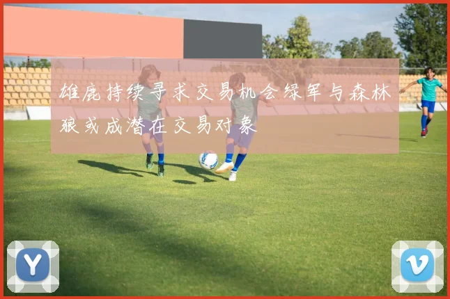 雄鹿持续寻求交易机会绿军与森林狼或成潜在交易对象